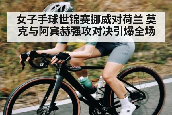 女子手球世锦赛挪威对荷兰 莫克与阿宾赫强攻对决引爆全场